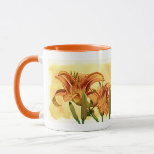 Taglilien - Hemerocallis Tasse