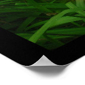 Taglilien in schwarz poster (Ecke)