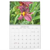 Taglilien Kalender (Jan 2027)