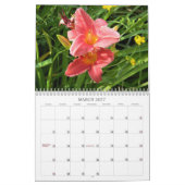 Taglilien Kalender (Mär 2027)