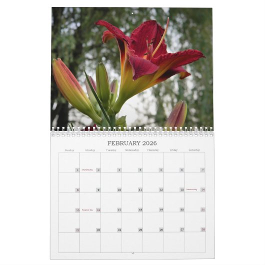 Taglilien Kalender (Feb 2026)