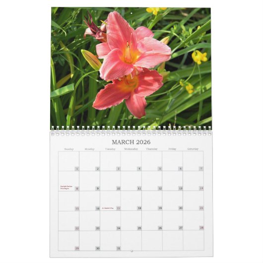 Taglilien Kalender (Mär 2026)