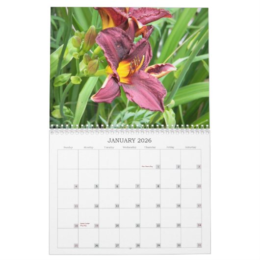 Taglilien Kalender (Jan 2026)