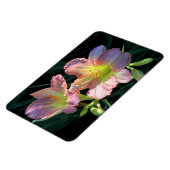 Taglilien Magnet (Linke Seite)