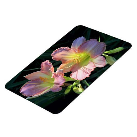 Taglilien Magnet (Linke Seite)