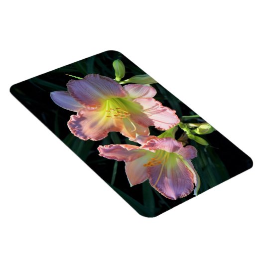 Taglilien Magnet (Rechte Seite)