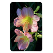 Taglilien Magnet (Vertikal)