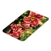 Taglilien Magnet (Linke Seite)
