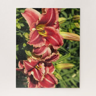 Taglilien Puzzle