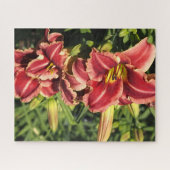 Taglilien Puzzle (Horizontal)