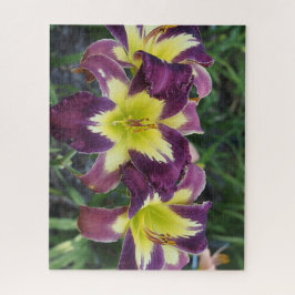 Taglilien Puzzle