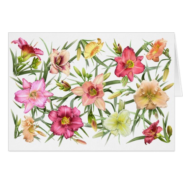 Taglilien überall (Vorderseite (Horizontal))