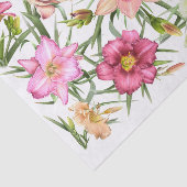 Taglilien überall seidenpapier (Ausschnitt)