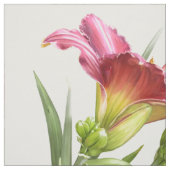 Taglilien überall stoff (Muster)