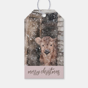 Tags der Winterlandschaft mit Geschenkgutscheinen Geschenkanhänger