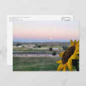 Tagträume bei der Abenddämmerung Postkarte (Vorne/Hinten)