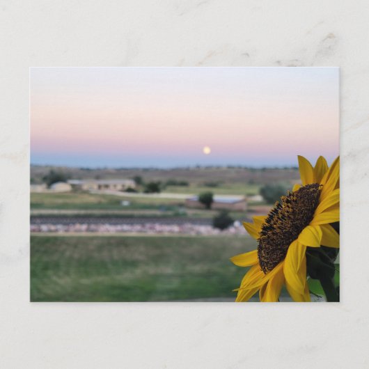 Tagträume bei der Abenddämmerung Postkarte (Vorderseite)