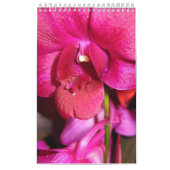 Tahiti Kalender (Titelbild)