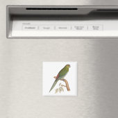 Tahiti Parakeet Illustration, c. 1849 Magnet (In Situ (Geschirrspüler))