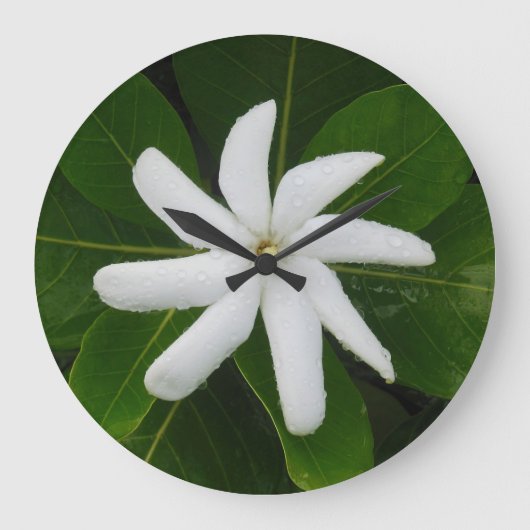 Tahitian Gardenia Große Wanduhr (Vorderseite)