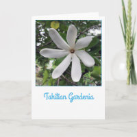 Tahitian Gardenia