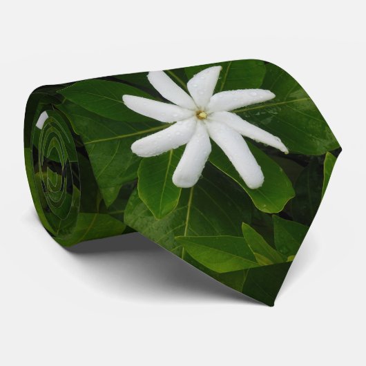 Tahitian Gardenia Krawatte (Gerollt)
