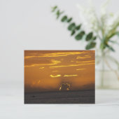 Tahitian Sunset Postkarte (Stehend Vorderseite)