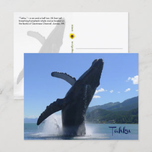 "Tahku"— die Buckelwal-Statue durchbrechen - Postkarte
