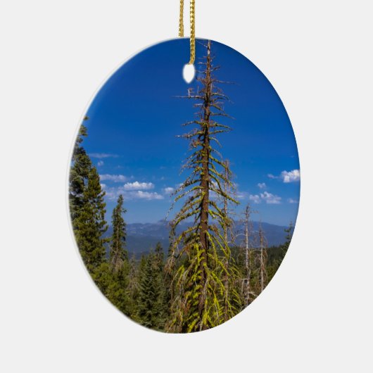 Tahoe Christmas Tree Ornament (Rechts)