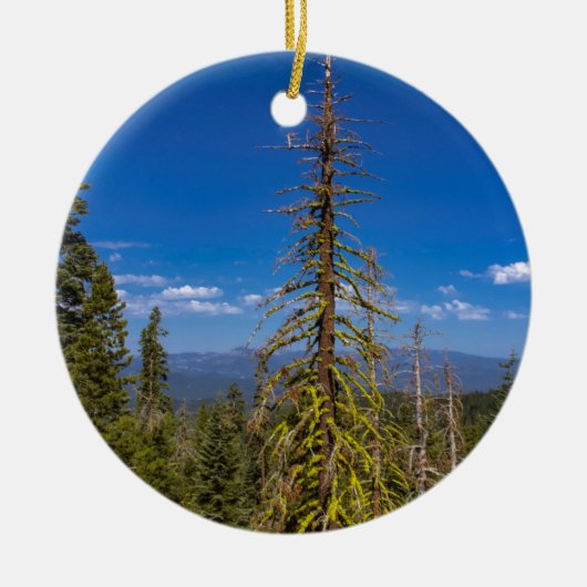 Tahoe Christmas Tree Ornament (Vorne)