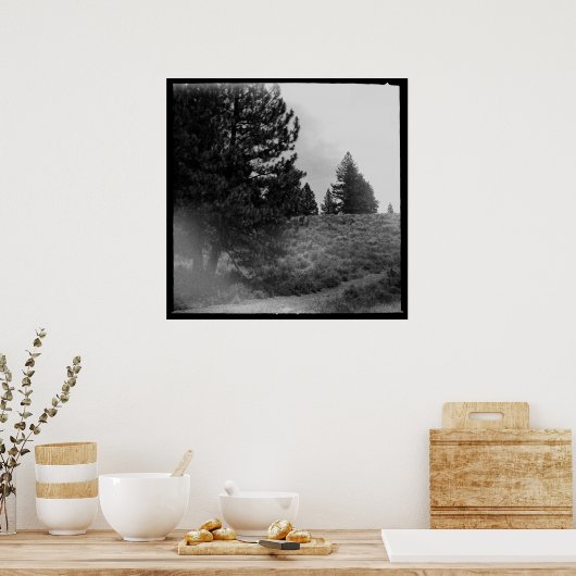 Tahoe National Forest Scene Square 24x24 Foto Poster (Küche)