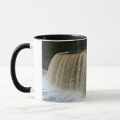 TAHQUAMENON FÄLLE TASSE (Links)
