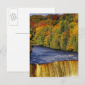 Tahquamenon Falls in UP Michigan Postkarte (Vorne/Hinten)