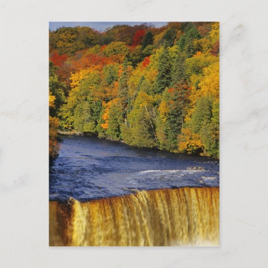 Tahquamenon Falls in UP Michigan Postkarte (Vorderseite)
