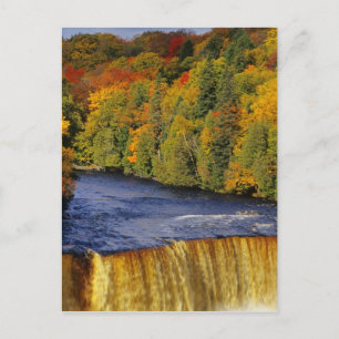 Tahquamenon Falls in UP Michigan Postkarte