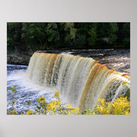 Tahquamenon Falls Poster Nah (Vorne)
