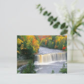 Tahquamenon Falls Postkarte (Stehend Vorderseite)