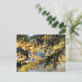 Tahquamenon Falls Postkarte (Stehend Vorderseite)