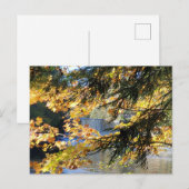 Tahquamenon Falls Postkarte (Vorne/Hinten)