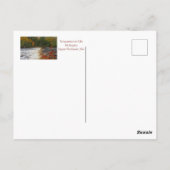 TAHQUAMENON FÄLLT IM AUTUMN / MICHIGANS U.P. POSTKARTE (Rückseite)
