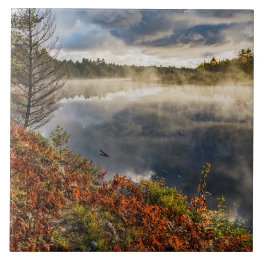 Tahquamenon River Sunrise | Paradies, Michigan Fliese (Vorderseite)