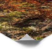 Tahquamenon River Sunrise | Paradies, Michigan Poster (Ecke)