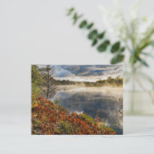 Tahquamenon River Sunrise | Paradies, Michigan Postkarte (Stehend Vorderseite)