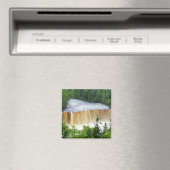 Tahquamenon Upper Falls Magnet (In Situ (Geschirrspüler))
