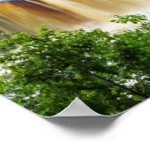 Tahquamenon Upper Falls Poster (Ecke)