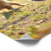 Tai Chi Cats Poster (Ecke)