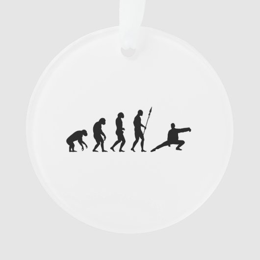 Tai-Chi-Evolution Ornament (Vorderseite)