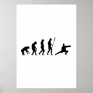 Tai-Chi-Evolution Poster