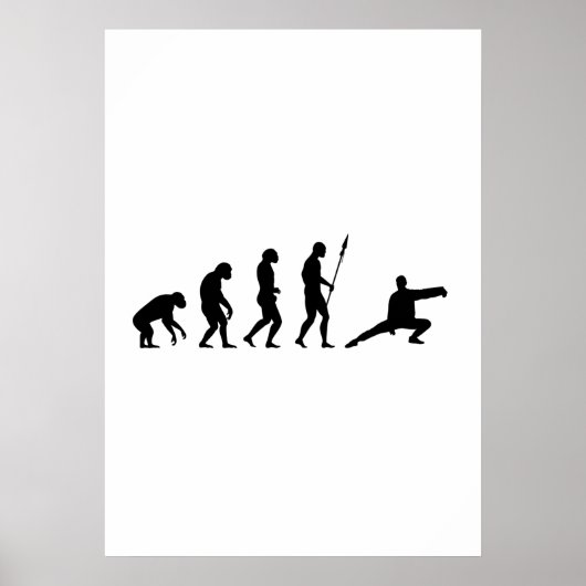 Tai-Chi-Evolution Poster (Vorne)