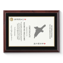 Tai Chi Instructor Certificate